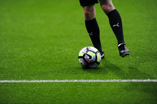 APP下载 LY Sports-意甲赛季中球员疲劳监测与恢复干预策略研究，球员疲劳速率