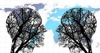 乐鱼官方登录入口-体育新闻中心协同多方建立体育内容风控机制，体育新闻机构