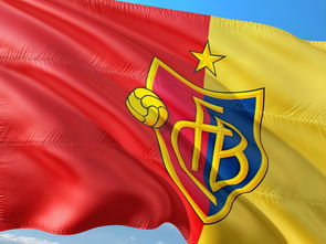 leyu.com-全国青少年足球超级联赛战况激烈,全国青少年少年足球联赛 第3张 leyu.com-全国青少年足球超级联赛战况激烈,全国青少年少年足球联赛 第3张