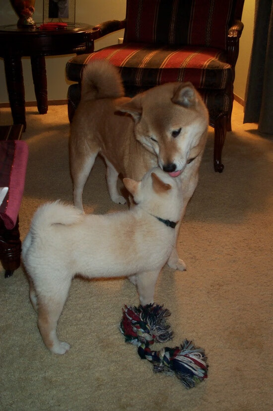 Leyu Sport登录入口-切尔西新星表现抢眼，未来前景看好，切尔西新帅