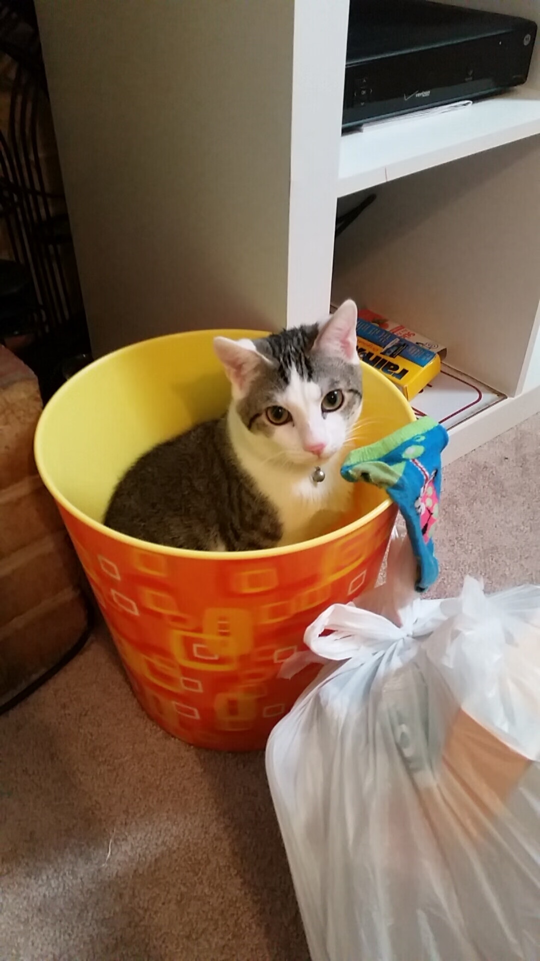 LeyuSports-图卢兹中场调度带动节奏连贯输出，图卢兹crous