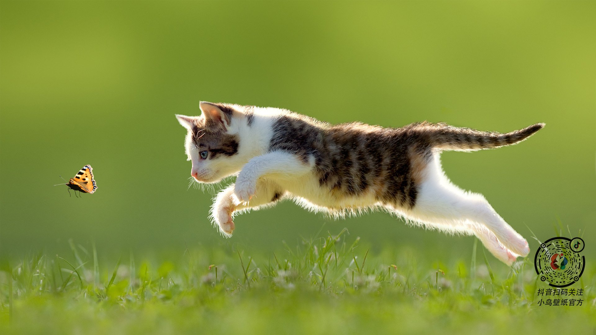 乐鱼电竞在线平台登录入口-教练组引入外籍专家优化体系结构，国家队外籍教练