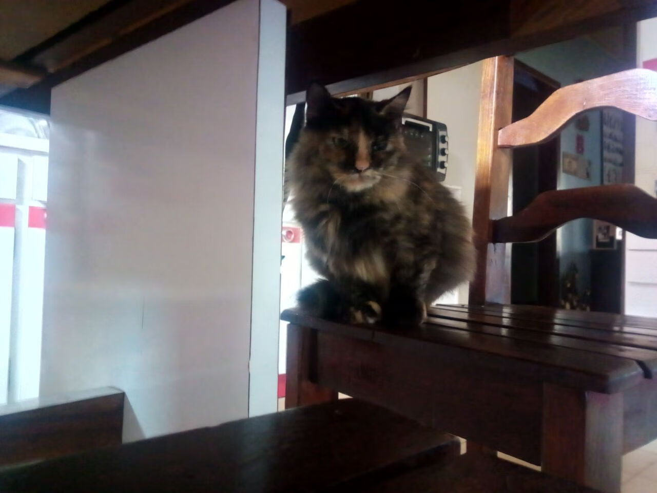 Leyu Sport登录入口-羽毛球奥运积分赛激战正酣 国羽全力以赴，中国羽毛球奥运积分最新排名