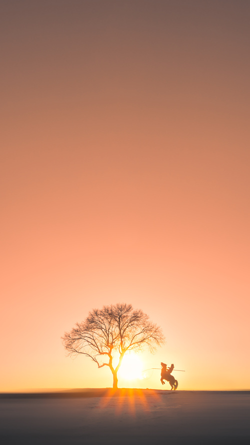 Leyu Sports (乐鱼体育)-丁俊晖更换战术风格效果立竿见影，丁俊晖失传绝技