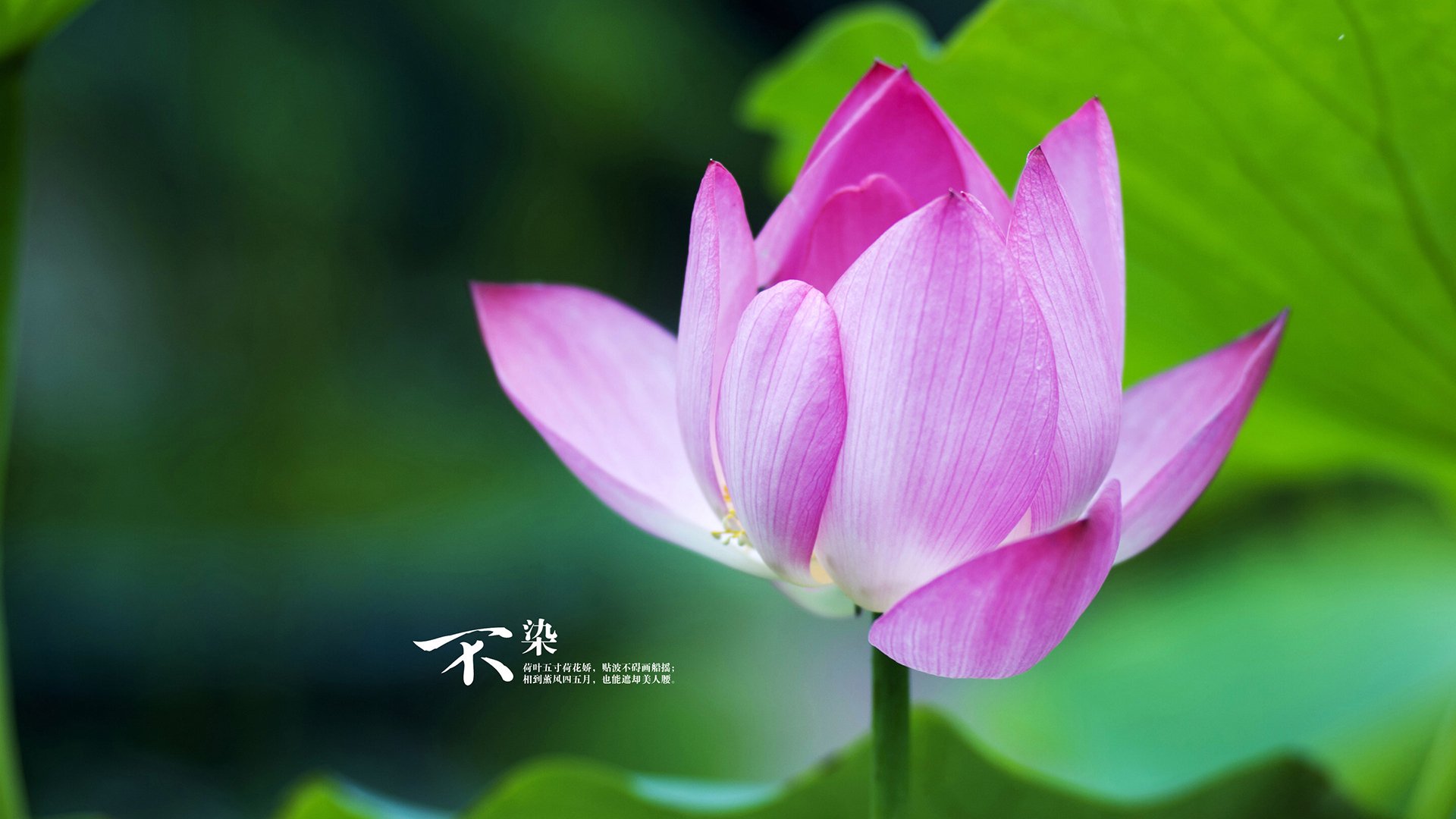 乐鱼官方登录入口-世界杯巅峰对决：激烈战场，精彩纷呈！，世界杯经典比赛视频