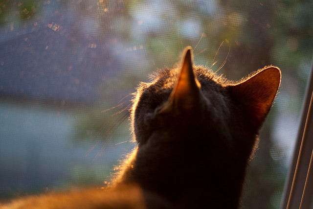 乐鱼（中国）体育官方网站-地方青训基地升级硬件设施为球员提供优质训练环境，青训训练营是什么