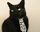 乐鱼vip-女子篮球提升快速反击效率增强比赛主动性，女子篮球怎么打