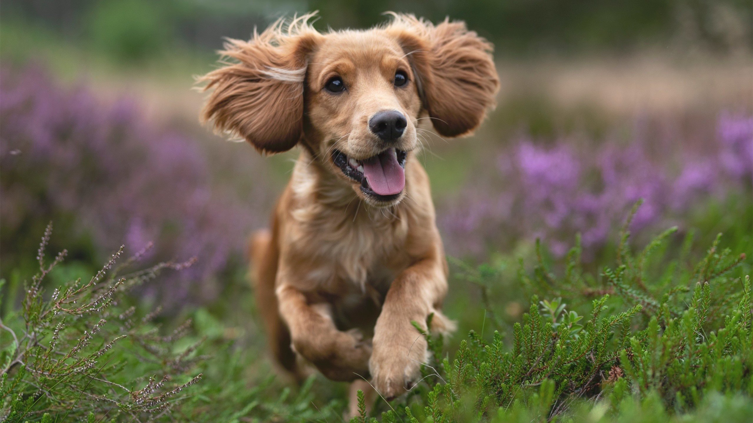 乐鱼体育平台app下载-滑雪装备耐寒性检测结果引发关注,滑雪服抗冻吗