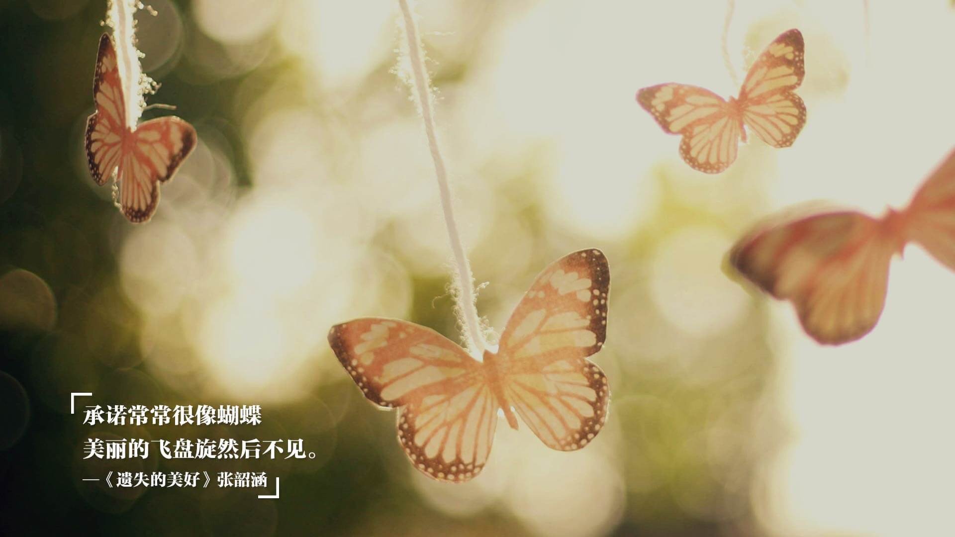 乐鱼官网-特色足球文化旅游周成为城市文化品牌的重要组成部分,足球文化设计