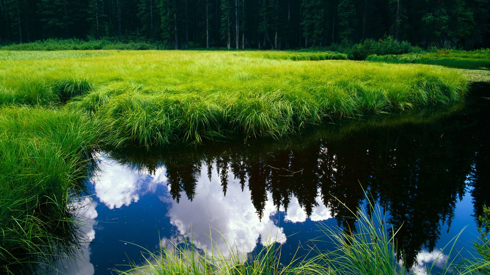 乐鱼体育-篮球教练员资格认证体系逐步完善提升教练队伍专业水平,篮球教练员证书