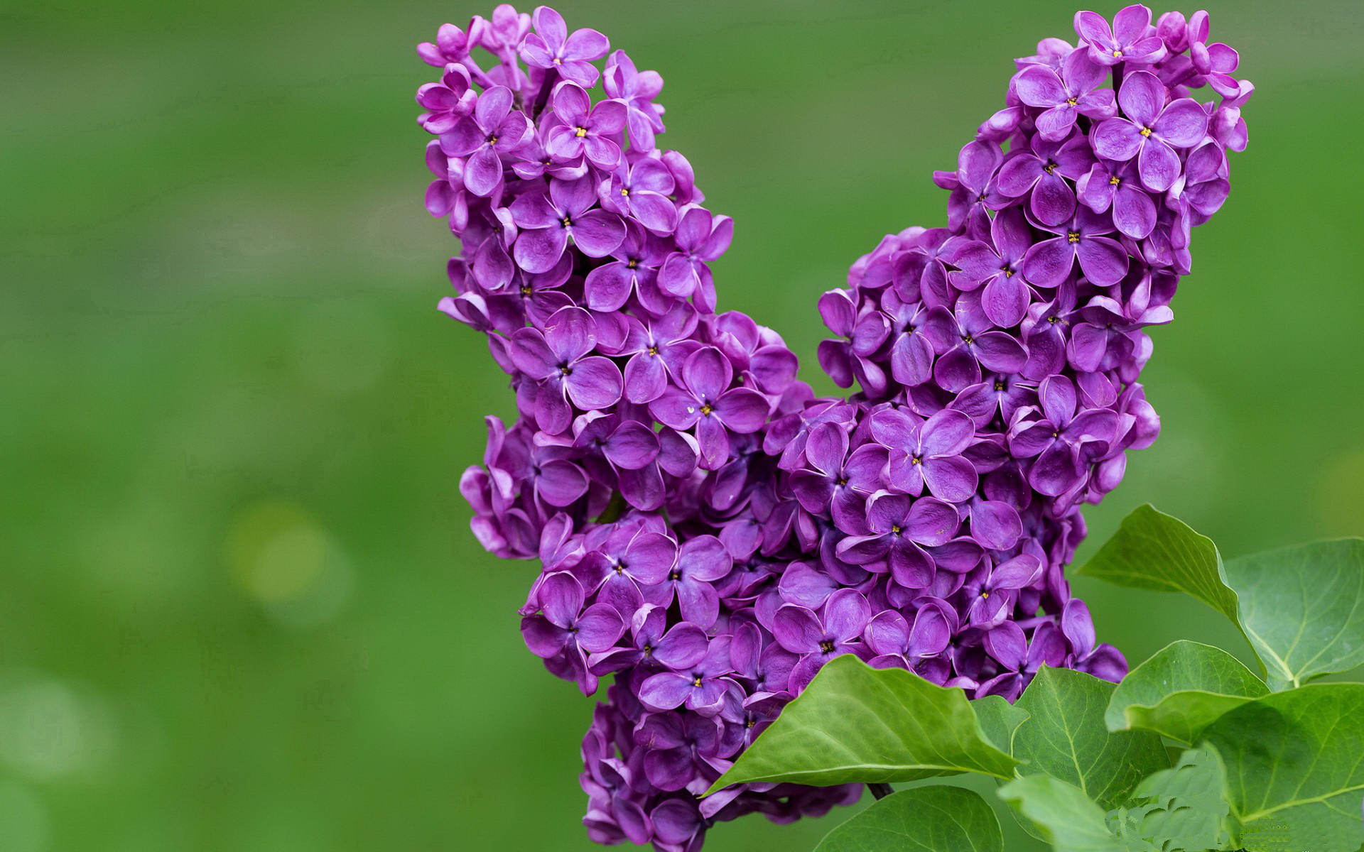 leyu乐鱼体育综合-美洲杯逆袭奇迹舞台：团队凝聚力至关重要，美洲杯总结