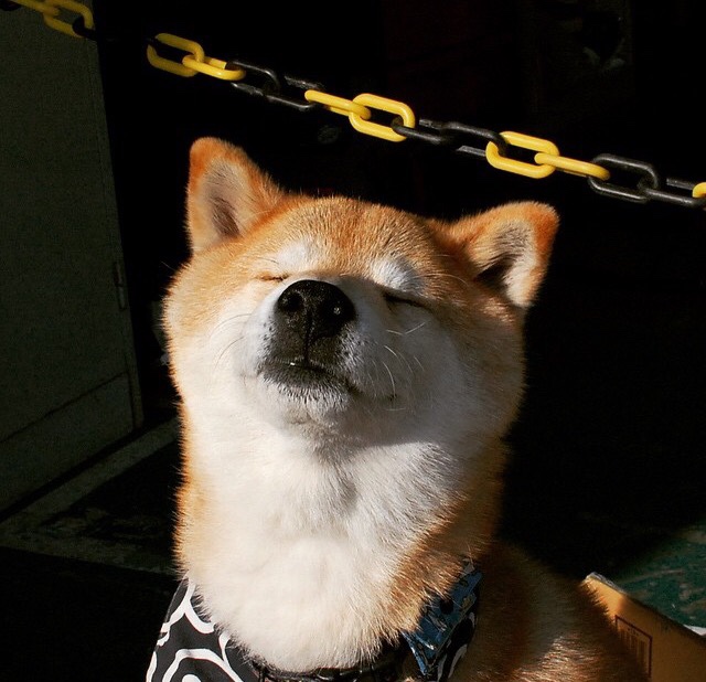 乐鱼体育-职业联赛扩军引发关注，职业联赛赛程