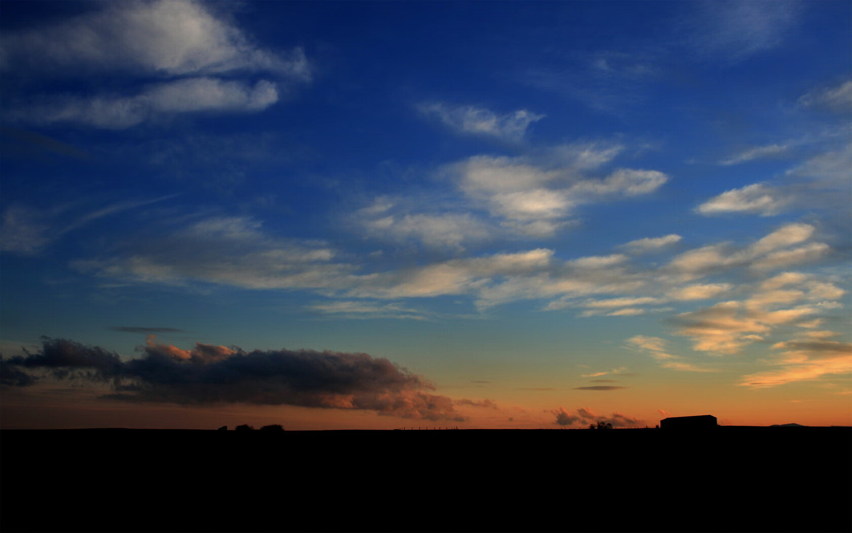 leyu乐鱼官网登录入口-荷兰蛙泳节奏控制极具水准，荷兰游泳奥运冠军  第2张