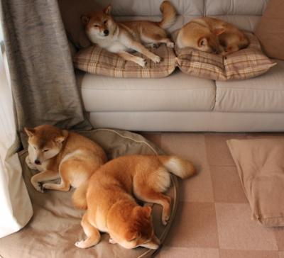 乐鱼电竞· (中国)官方网站-覃海洋决赛中展现王者气质,覃海洋简介 第1张 乐鱼电竞· (中国)官方网站-覃海洋决赛中展现王者气质,覃海洋简介 第1张