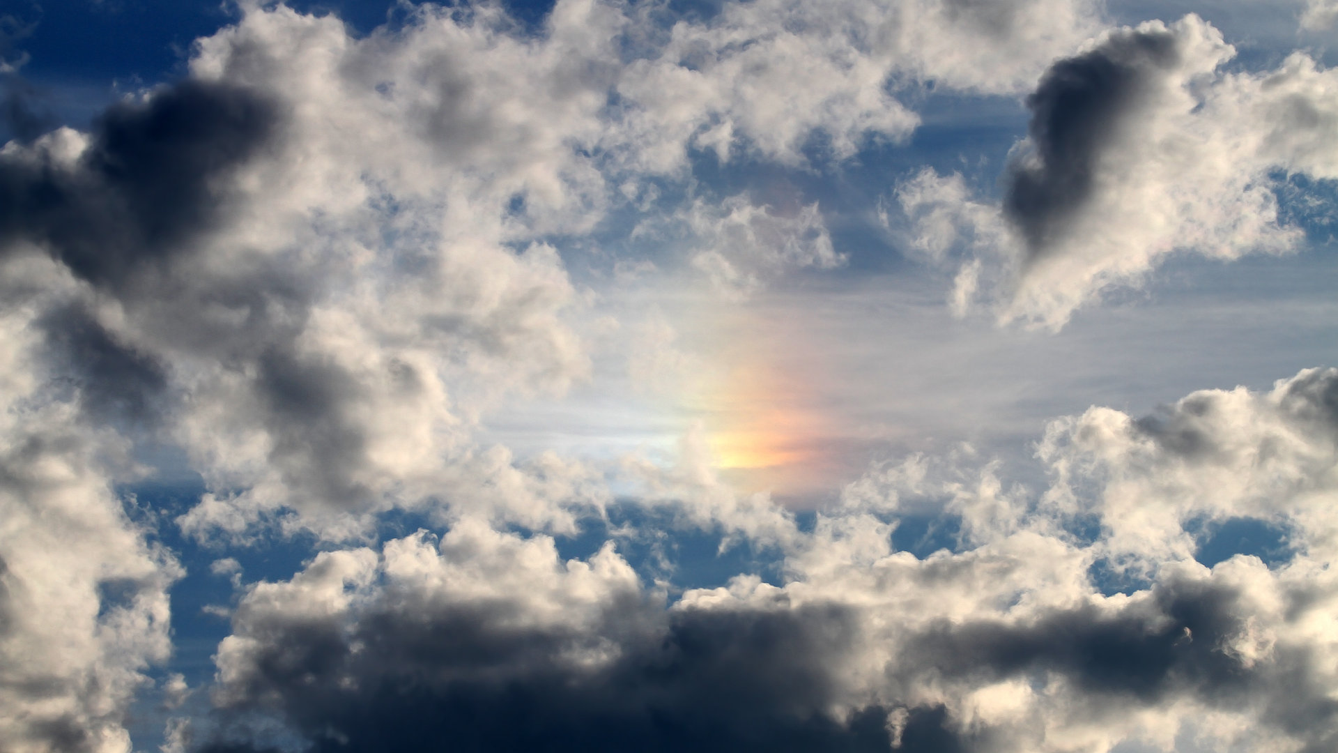 乐鱼体育-跳水高难动作韩国稳健完成,韩国跳水选手跳一半回去了