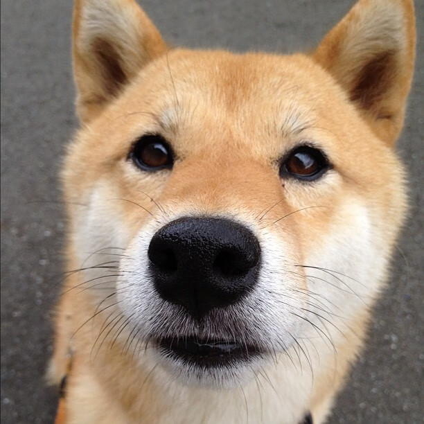 乐鱼体育-跳水高难动作韩国稳健完成,韩国跳水选手跳一半回去了