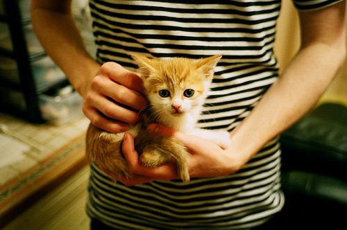 leyu.com-霍勒迪突破制造杀伤雄鹿保持领先，霍勒迪强壮吗