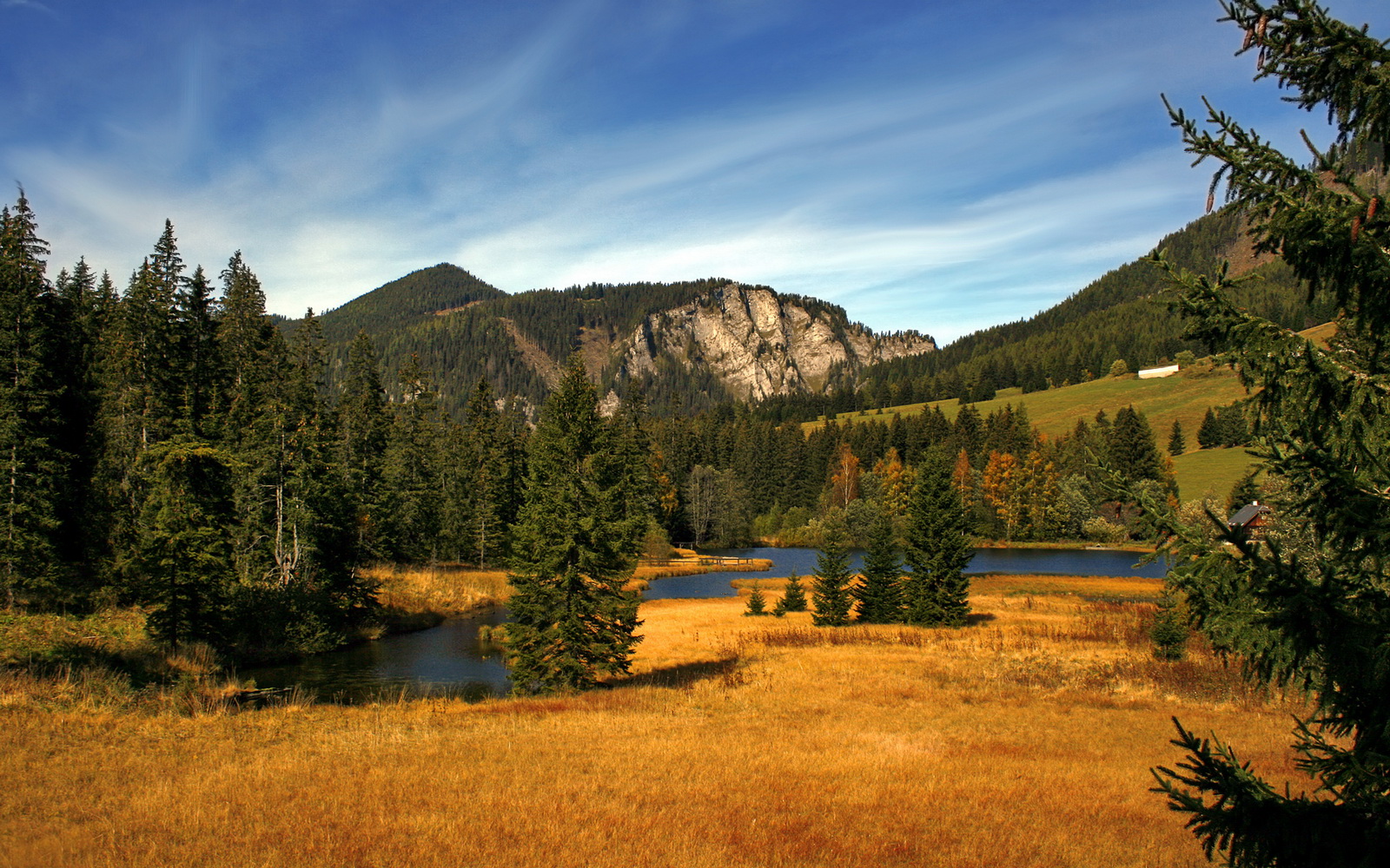 乐鱼电竞在线平台-马里特·斯滕伯根女子100米自由泳决赛精彩亮相，里约100米自由泳决赛