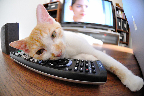 APP下载 LY Sports-Carter 助攻频繁带动球队前进，球员助攻榜